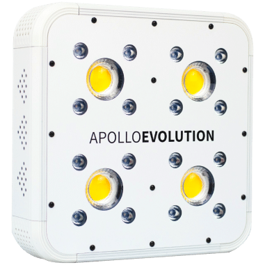 APOLLO EVOLUTION 4 127W-DELIGHT